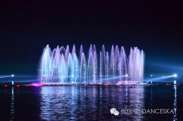 242.webp